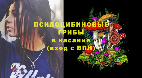 прущие крисы Армянск